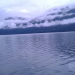 Ponderosa Campground