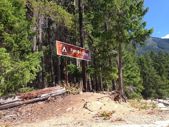 Ponderosa Campground 1