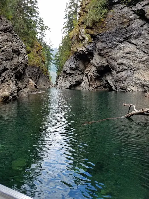 Devil's Junction Campground 8