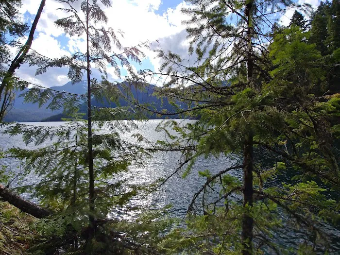 May Creek Campground 5