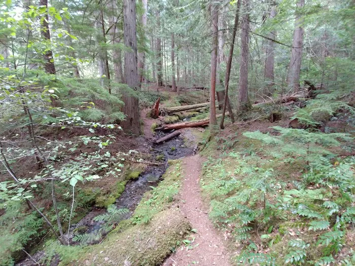 May Creek Campground 8