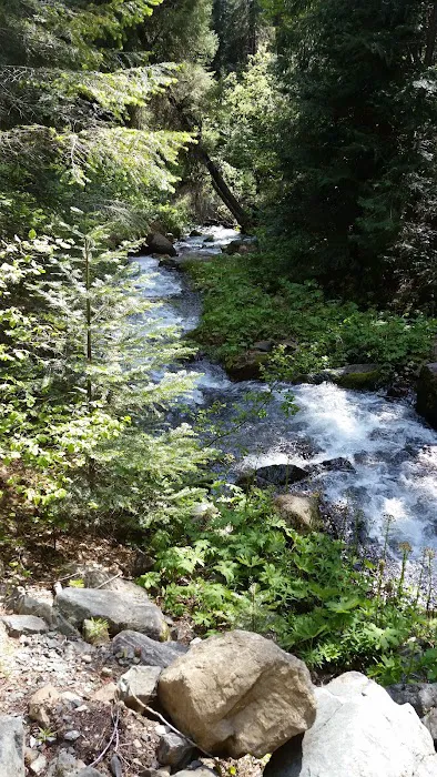 Trail Creek Campground 2