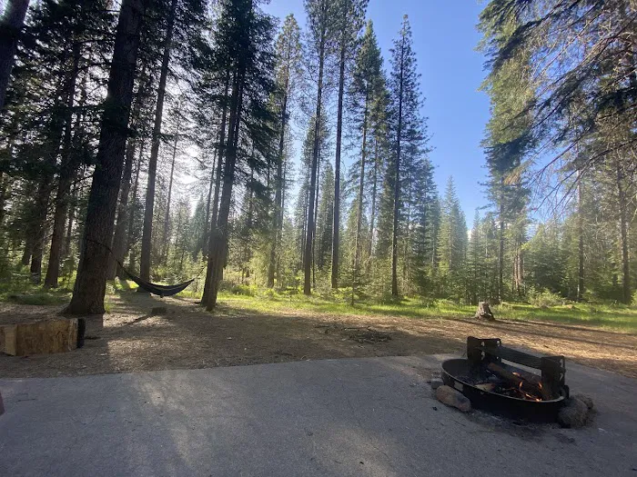 Cattle Camp Campground 3