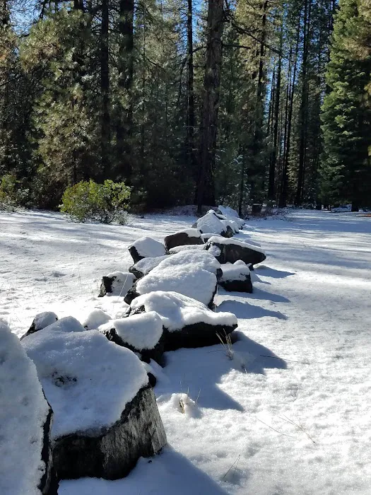 Cattle Camp Campground 1