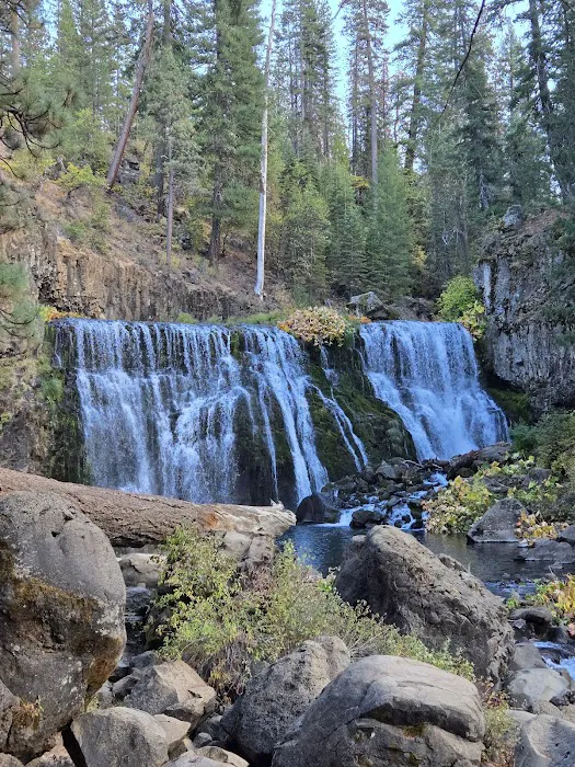 McCloud Area 1