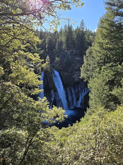 McCloud Area 2