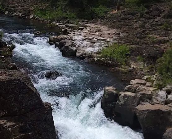 McCloud Area