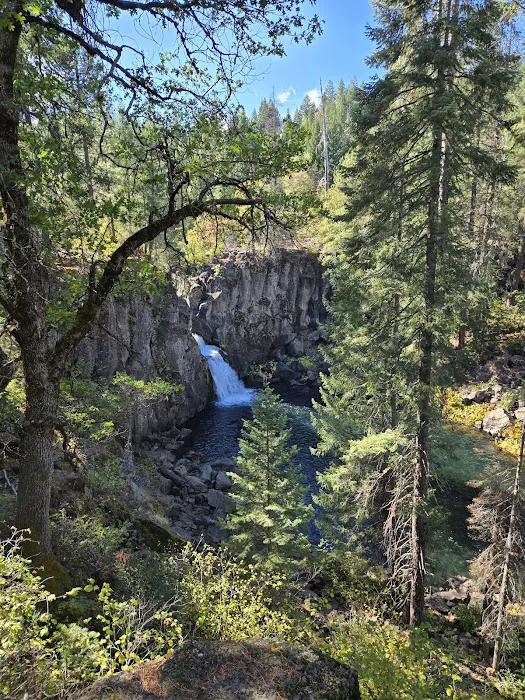 McCloud Area 4