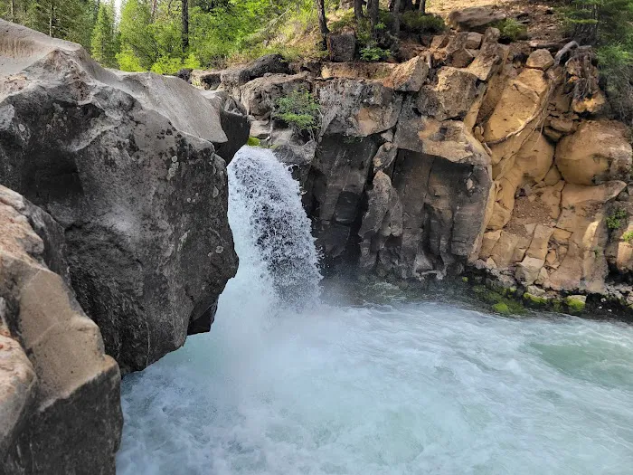 McCloud Area 8