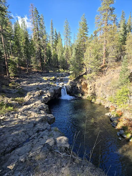 McCloud Area 6