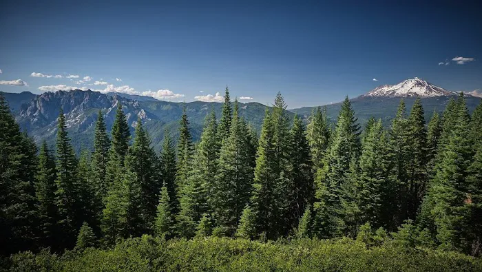 Girard Ridge Lookout 0