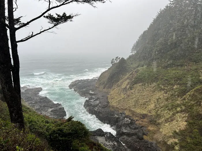 Cape Perpetua Trailhead 1