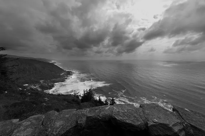 Cape Perpetua Trailhead 4