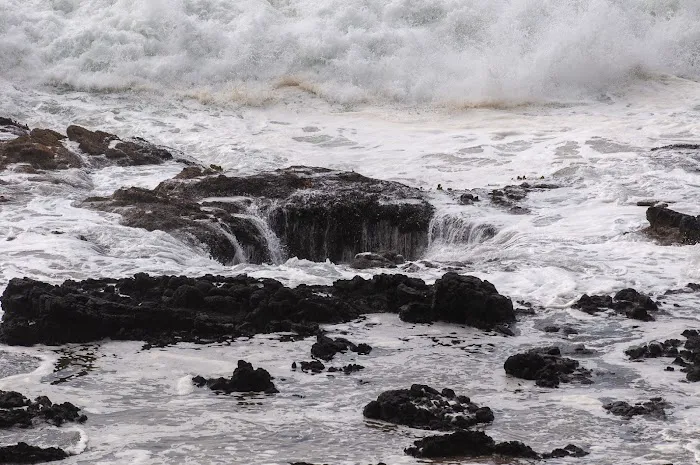Cape Perpetua Trailhead 7