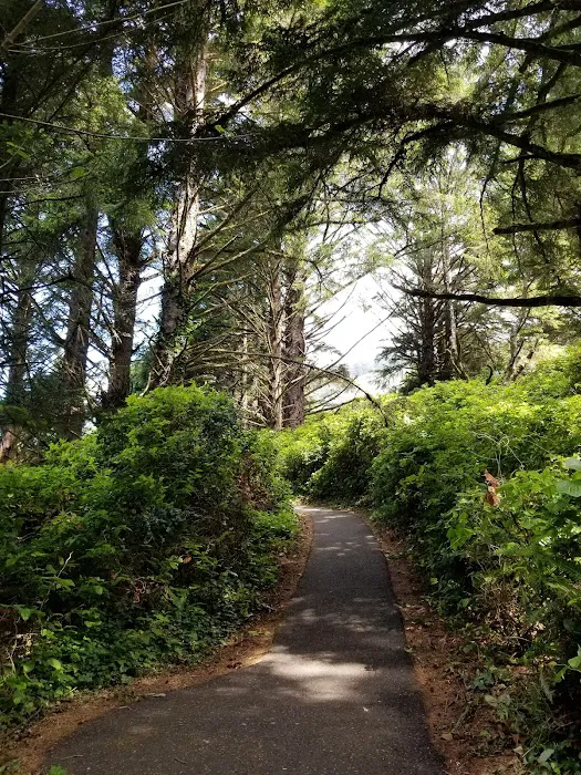 Cape Perpetua Trailhead 6