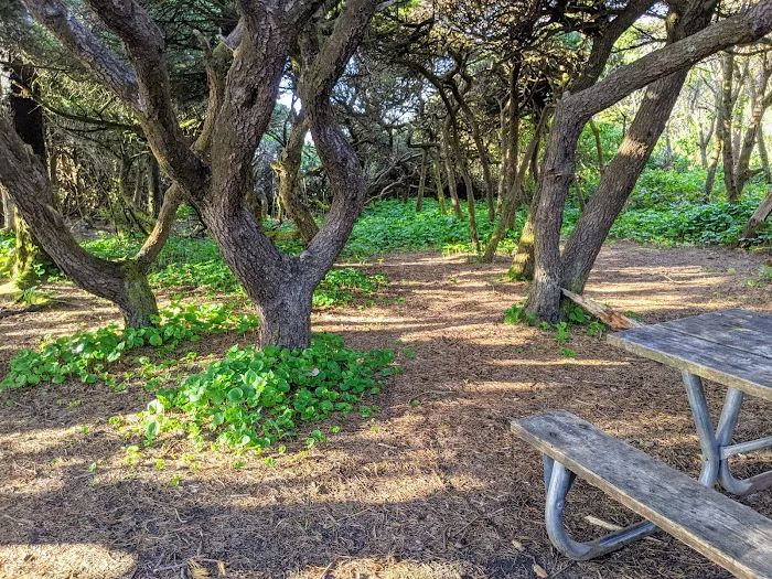 Tillicum Beach Campground 6
