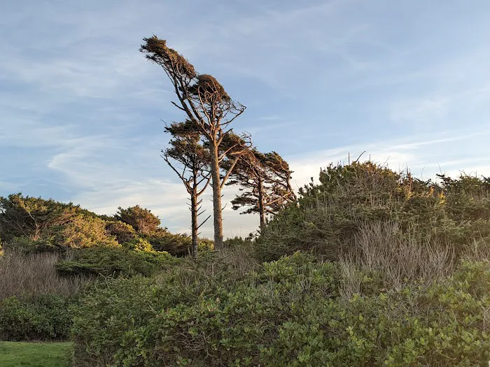 Tillicum Beach Campground 4