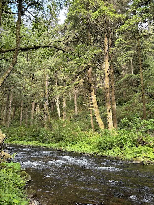 Rock Creek Campground 3