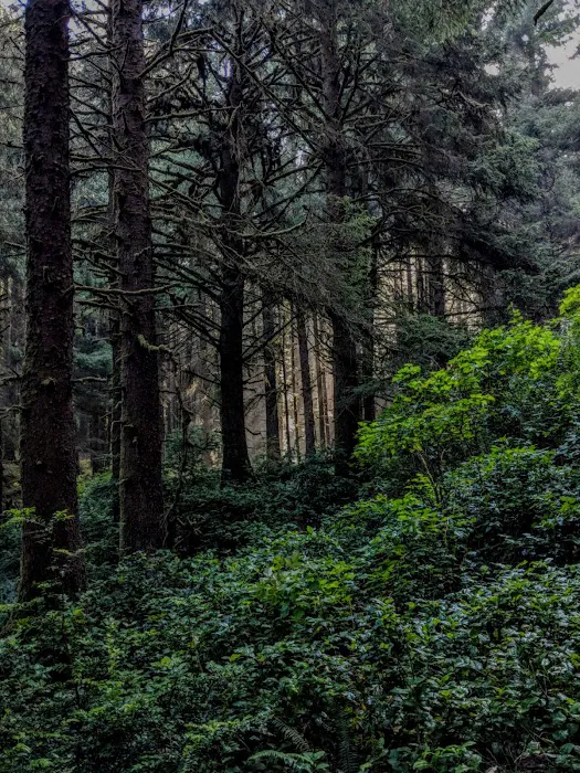 Washburne State Park Camping 2