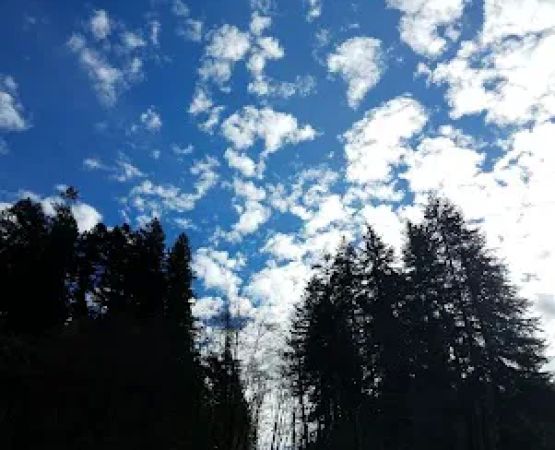 Canal Creek Campground