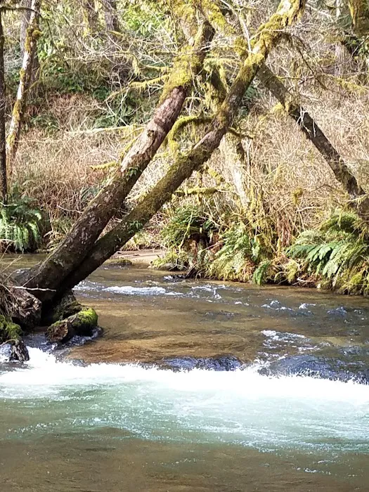 Canal Creek Campground 1