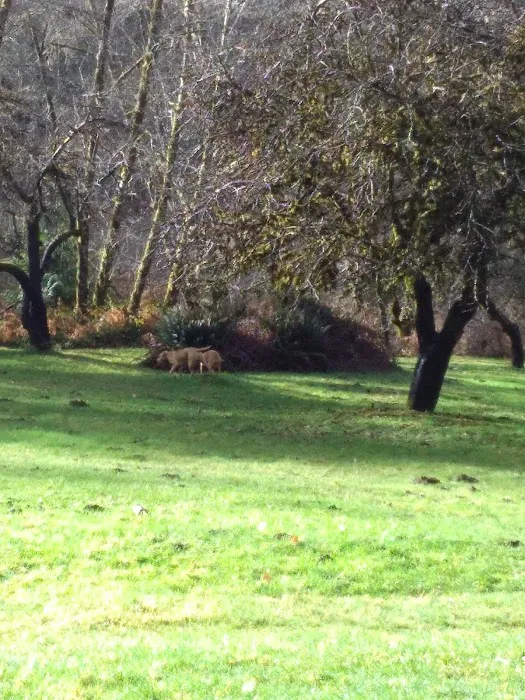 Canal Creek Campground 3