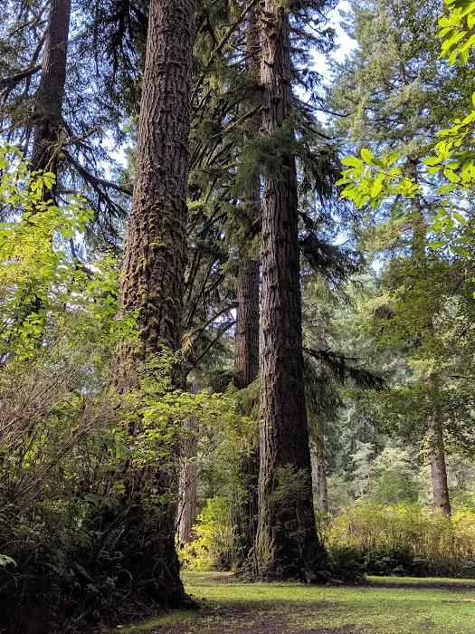 Canal Creek Campground 5