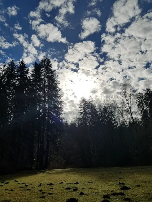 Canal Creek Campground 8