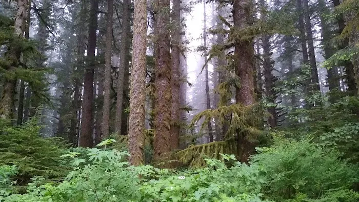 Horse Creek Campground 2