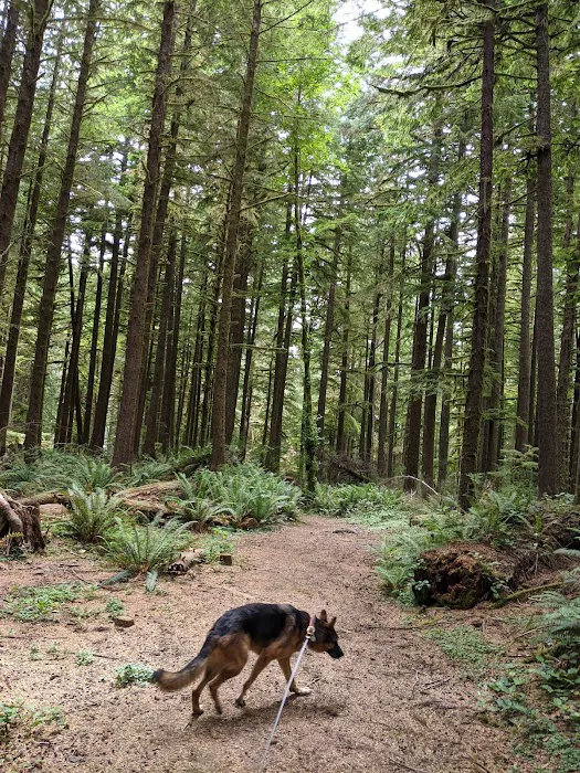 Horse Creek Campground 5