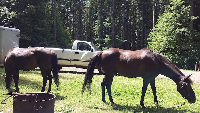 Horse Creek Campground 8