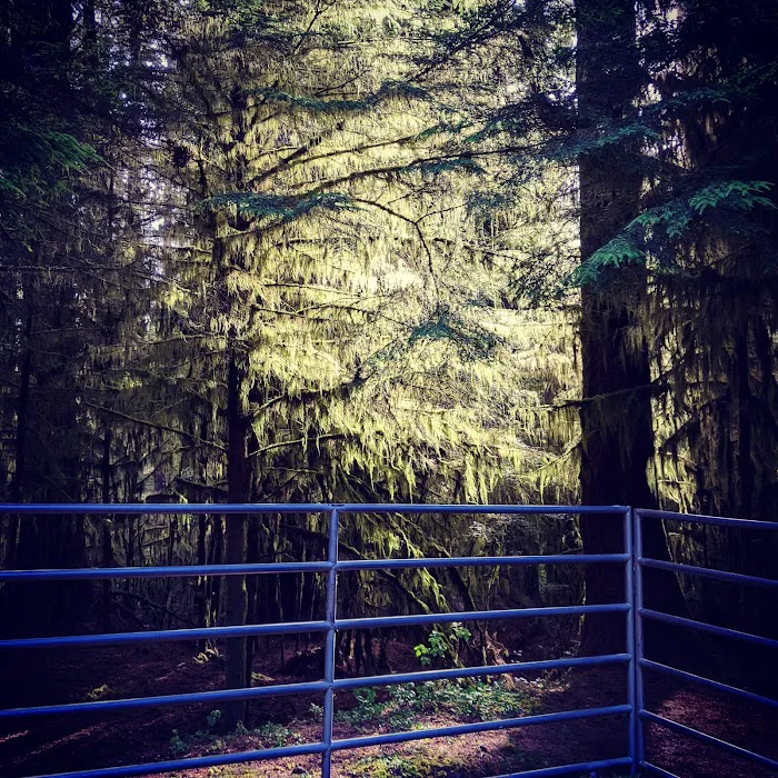 Horse Creek Campground 6