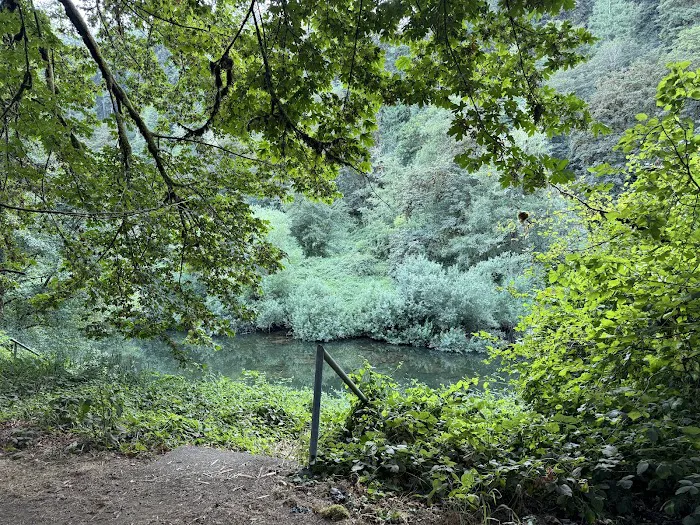 Blackberry Campground 1