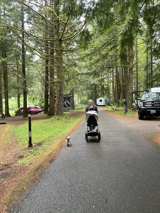 Blackberry Campground 3