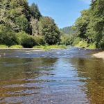 Blackberry Campground