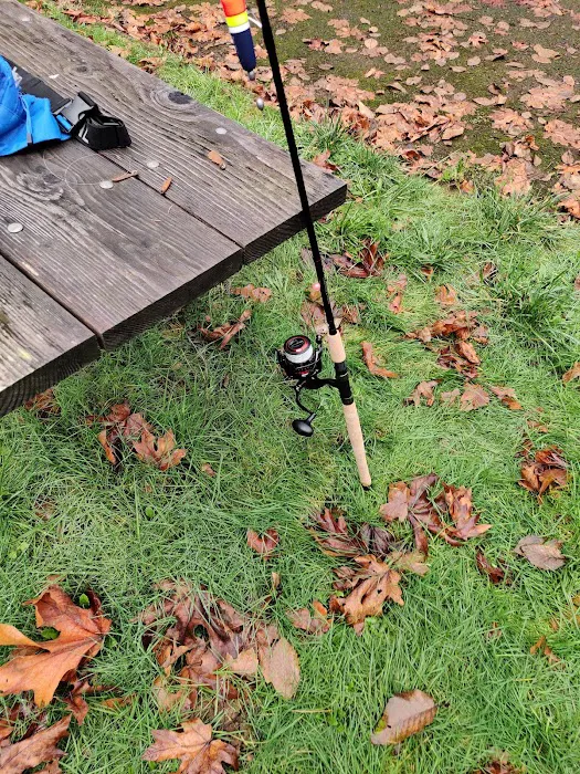 Blackberry Campground 5