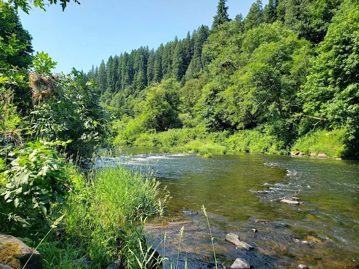 Blackberry Campground 4
