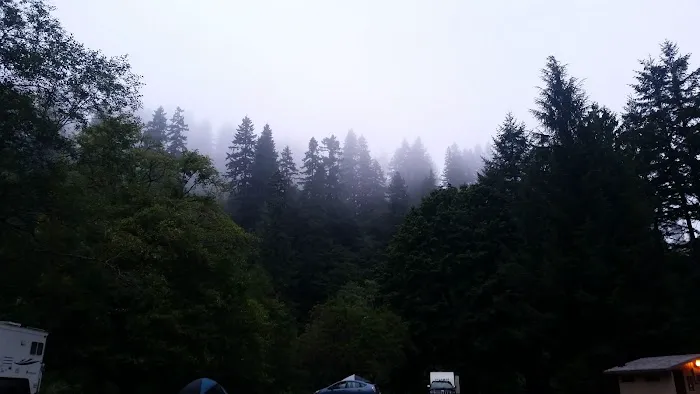 Blackberry Campground 9