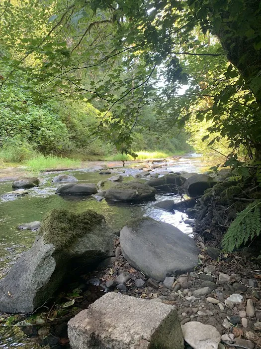 North Fork Siuslaw Campground 0