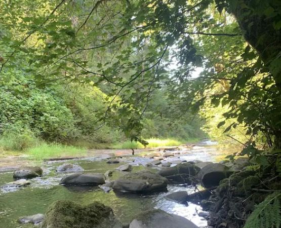 North Fork Siuslaw Campground