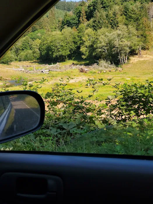 North Fork Siuslaw Campground 3