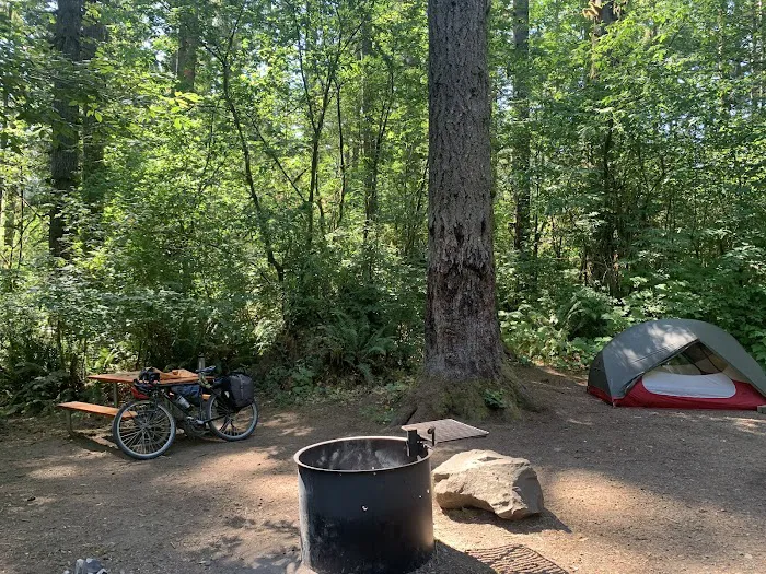 North Fork Siuslaw Campground 9
