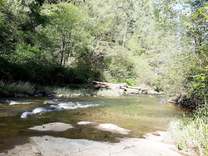 North Fork Siuslaw Campground 7