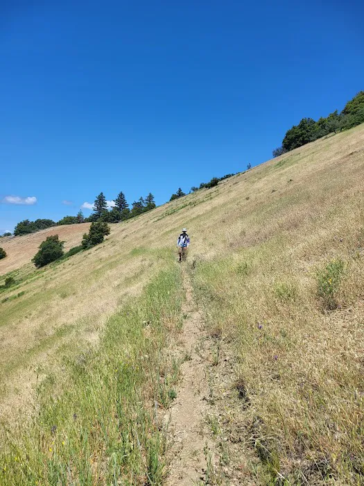 Charlie Buck / Baldy Peak Trailhead (recgovnpsdata) 2