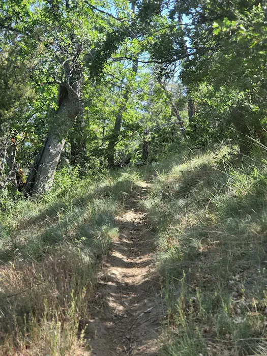 Charlie Buck / Baldy Peak Trailhead (recgovnpsdata) 1