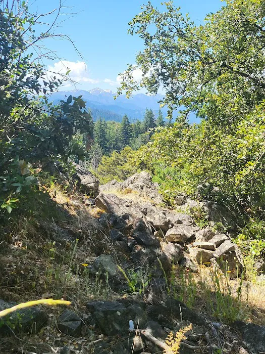 Charlie Buck / Baldy Peak Trailhead (recgovnpsdata) 0