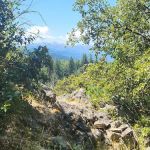 Charlie Buck / Baldy Peak Trailhead (recgovnpsdata)