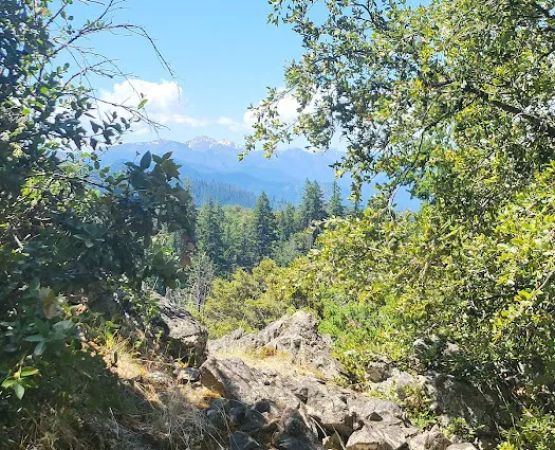 Charlie Buck / Baldy Peak Trailhead (recgovnpsdata)
