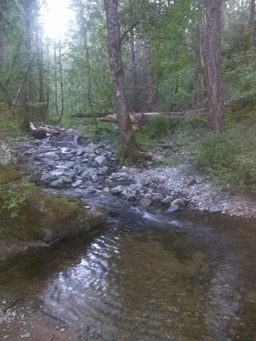 Beaver-Sulphur Group Campground 0