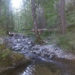 Beaver-Sulphur Group Campground